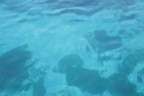 Cupola Bianca Hotel 4*