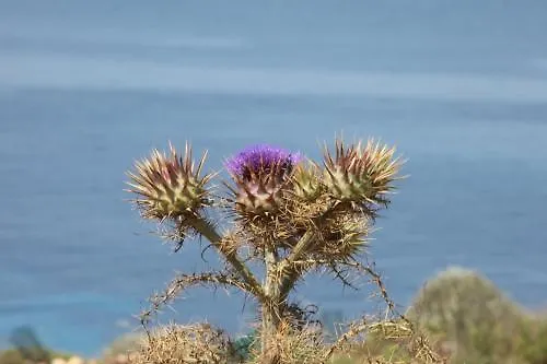 Cupola Bianca Lampedusa